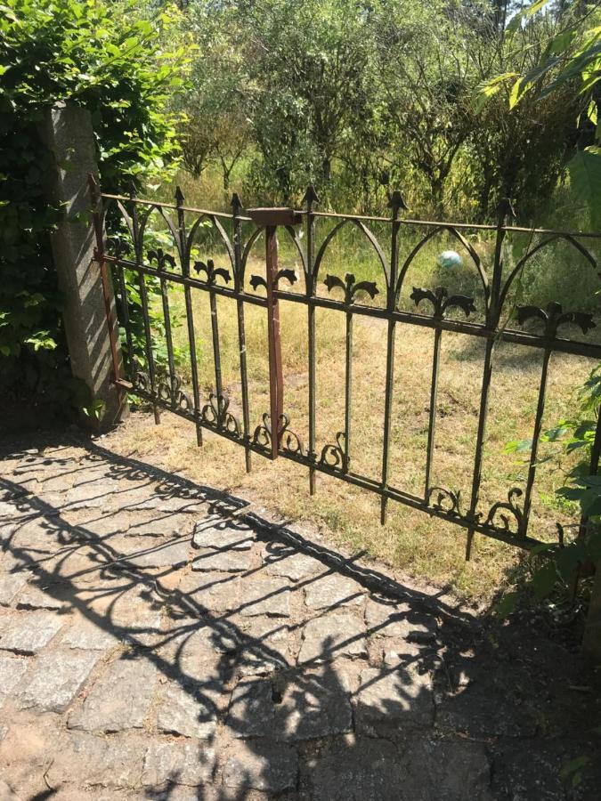 Gemuetliche Ferienwohnung An Der Elbe Bleckede Exterior foto